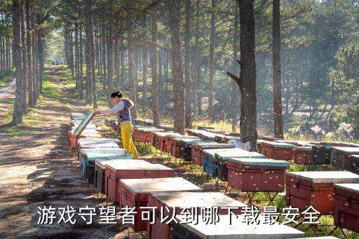游戲守望者可以到哪下載最安全