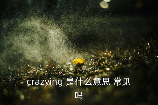 crazying 是什么意思 常見嗎