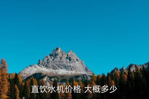 直飲水機價格 大概多少