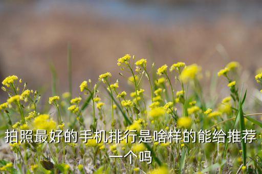 拍照最好的手機(jī)排行是啥樣的能給推薦一個(gè)嗎