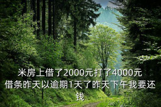 米房上借了2000元打了4000元借條昨天以逾期1天了昨天下午我要還錢