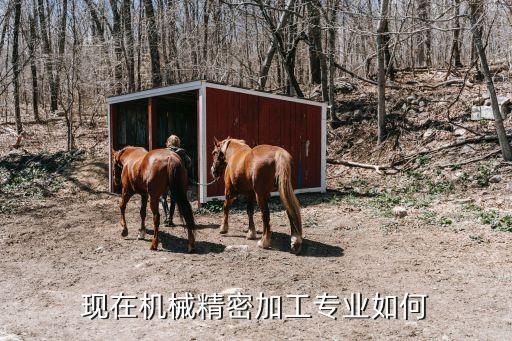 精密機(jī)械加工，現(xiàn)在機(jī)械精密加工專(zhuān)業(yè)如何