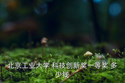 北京工業(yè)大學(xué) 科技創(chuàng)新獎(jiǎng)一等獎(jiǎng) 多少錢(qián)