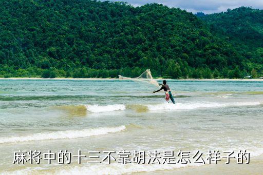麻將中的十三不靠胡法是怎么樣子的