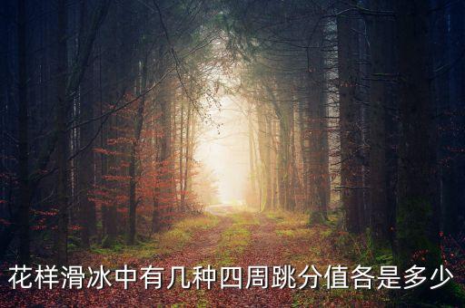 花樣滑冰中有幾種四周跳分值各是多少