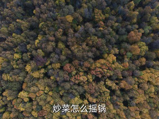 炒菜顛鍋怎么顛，炒菜顛鍋怎么轉(zhuǎn)彎