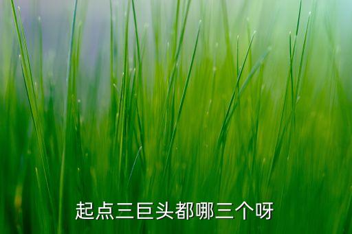 崛起之科技巨頭起點(diǎn)，起點(diǎn)三巨頭是哪三個(gè)