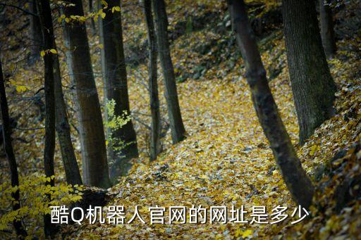酷Q機(jī)器人官網(wǎng)的網(wǎng)址是多少
