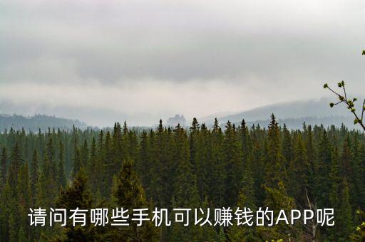 請(qǐng)問(wèn)有哪些手機(jī)可以賺錢(qián)的APP呢