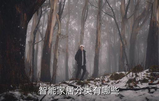智能家居分類有哪些