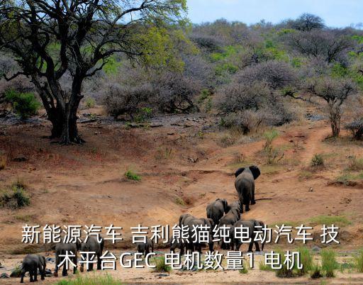 新能源汽車 吉利熊貓純電動(dòng)汽車 技術(shù)平臺(tái)GEC 電機(jī)數(shù)量1 電機(jī)