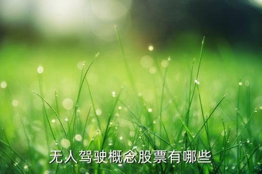 無人駕駛概念股票有哪些