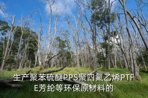 生產(chǎn)聚苯硫醚PPS聚四氟乙烯PTFE芳綸等環(huán)保原材料的