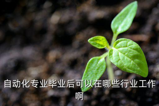 自動化專業(yè)畢業(yè)后可以在哪些行業(yè)工作啊