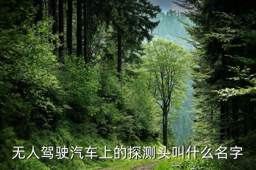 無人駕駛汽車上的探測(cè)頭叫什么名字