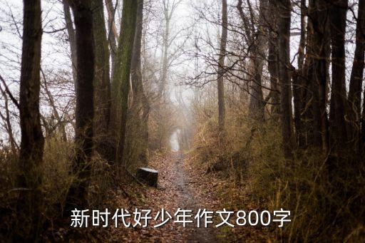 新時(shí)代好少年作文800字