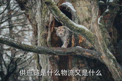 供應(yīng)鏈，什么是供應(yīng)鏈