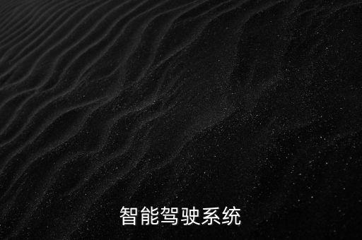 智能駕駛系統(tǒng)