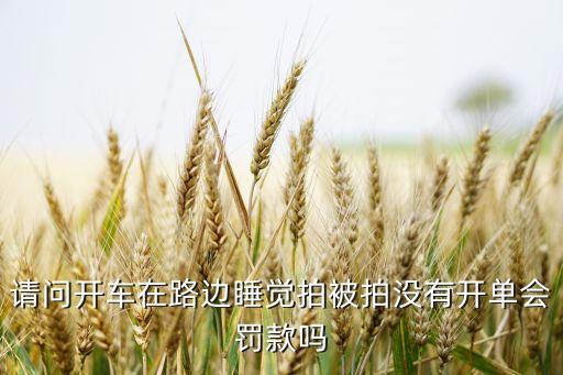 請問開車在路邊睡覺拍被拍沒有開單會罰款嗎