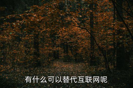 有什么可以替代互聯(lián)網(wǎng)呢