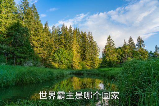 世界霸主是哪個國家