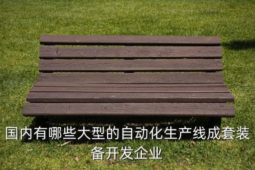 國內(nèi)有哪些大型的自動化生產(chǎn)線成套裝備開發(fā)企業(yè)