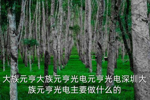 大族元亨大族元亨光電元亨光電深圳大族元亨光電主要做什么的