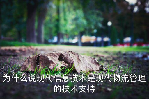 為什么說現(xiàn)代信息技術(shù)是現(xiàn)代物流管理的技術(shù)支持