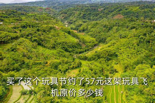 買了這個(gè)玩具節(jié)約了57元這架玩具飛機(jī)原價(jià)多少錢