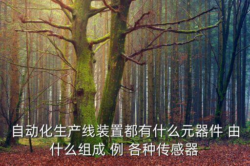 自動(dòng)化生產(chǎn)線裝置都有什么元器件 由什么組成 例 各種傳感器