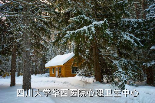 四川大學(xué)華西醫(yī)院心理衛(wèi)生中心