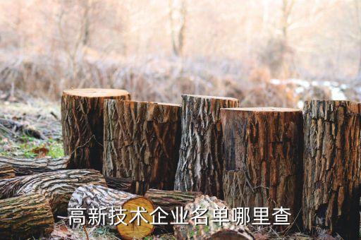 高新技術(shù)企業(yè)名單查詢，怎樣查找高新技術(shù)企業(yè)名單