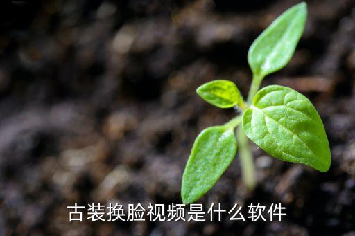 古裝換臉視頻是什么軟件