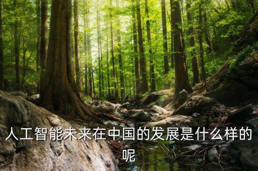 人工智能未來(lái)在中國(guó)的發(fā)展是什么樣的呢