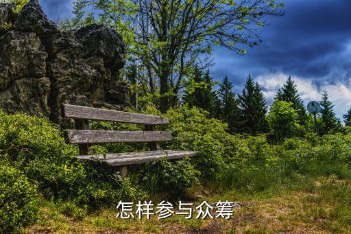 怎樣參與眾籌