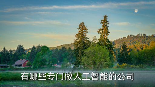 有哪些專門做人工智能的公司