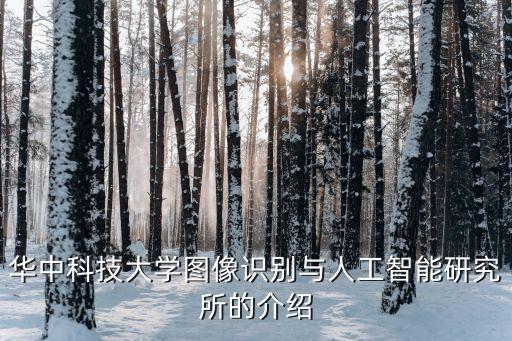 華中科技大學(xué)圖像識(shí)別與人工智能研究所的介紹