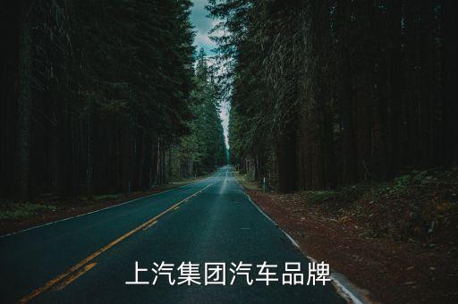 上汽集團(tuán)汽車品牌