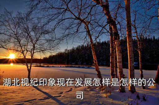 大數(shù)據(jù)國(guó)家重點(diǎn)實(shí)驗(yàn)室，湖北視紀(jì)印象現(xiàn)在發(fā)展怎樣是怎樣的公司