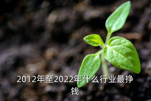 2012年至2022年什么行業(yè)最掙錢