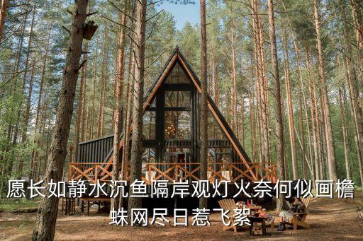 愿長如靜水沉魚隔岸觀燈火奈何似畫檐蛛網(wǎng)盡日惹飛絮