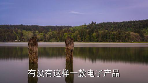 有沒(méi)有這樣一款電子產(chǎn)品