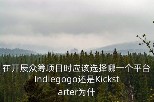 技術(shù)眾籌平臺(tái)，米小粒眾籌的優(yōu)勢(shì)是什么
