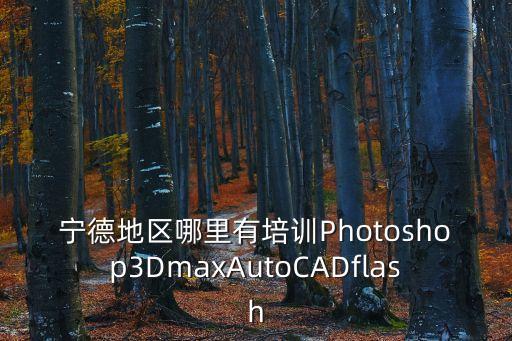 工控自動化培訓(xùn)學(xué)校寧德，寧德地區(qū)哪里有培訓(xùn)Photoshop3DmaxAutoCADflash