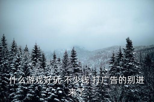 什么游戲好玩 不少錢 打廣告的別進來了