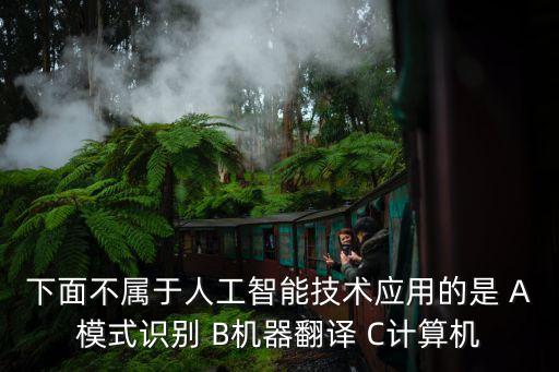 下面不屬于人工智能技術(shù)應(yīng)用的是 A模式識(shí)別 B機(jī)器翻譯 C計(jì)算機(jī)
