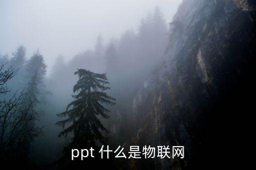 ppt 什么是物聯(lián)網(wǎng)
