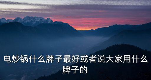 電炒鍋什么牌子最好或者說大家用什么牌子的