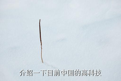 介紹一下目前中國(guó)的高科技