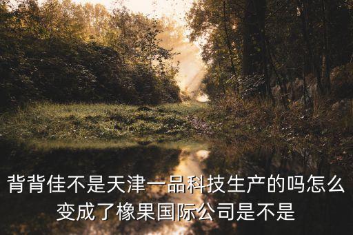 一品科技有限公司，背背佳不是天津一品科技生產(chǎn)的嗎怎么變成了橡果國(guó)際公司是不是